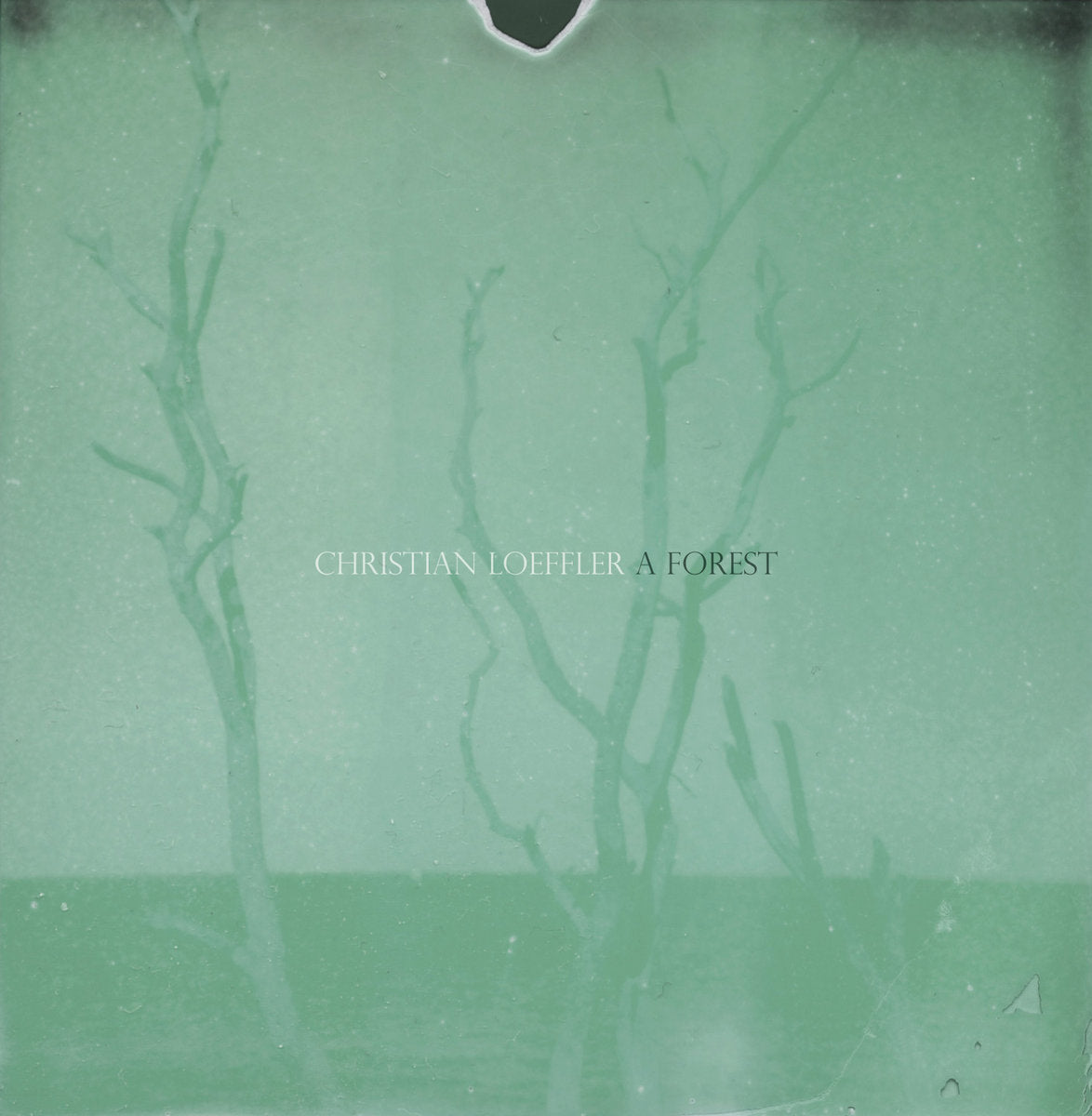 Christian Löffler - A Forest